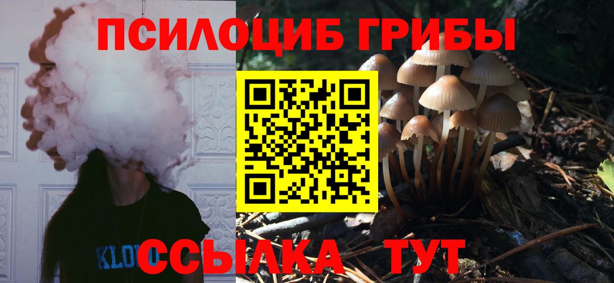 Псилоцибиновые грибы ЛСД  Вход с VPN  Ноябрьск 