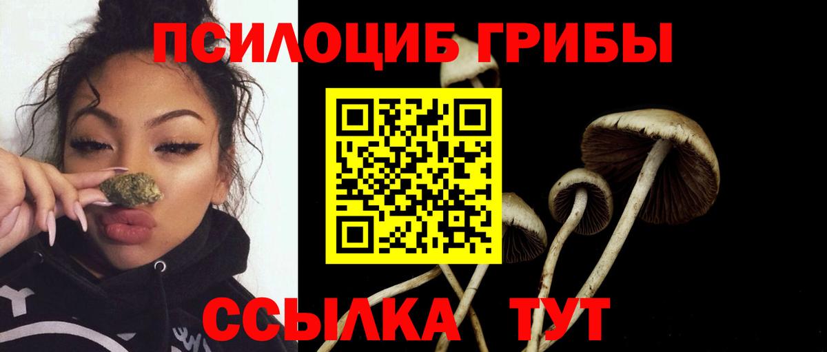Галлюциногенные грибы мицелий Ноябрьск